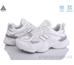 Кроссовки STILLI Group